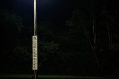 37-_62A3633-scaled